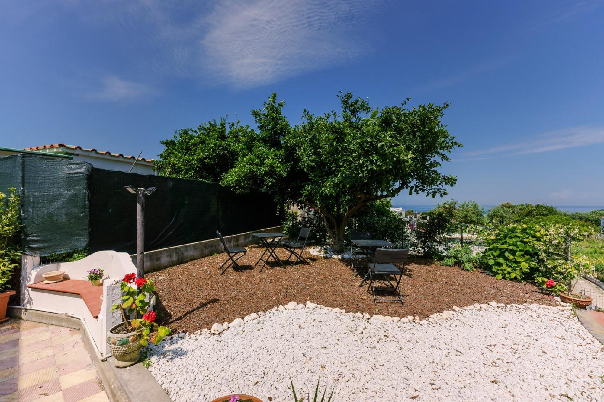 Le Jardin Bed & Breakfast Procida Luaran gambar